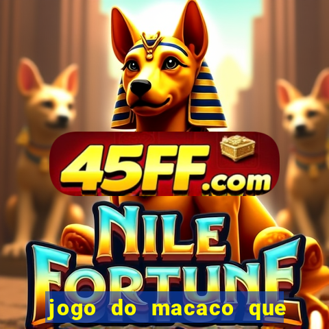 jogo do macaco que ganha dinheiro